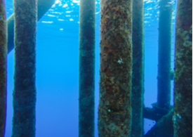 under water inspection